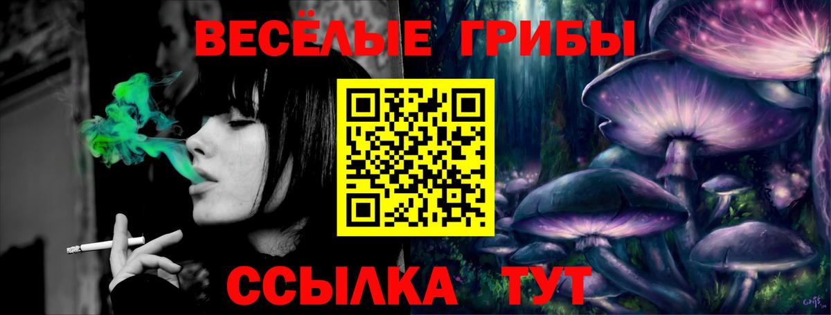 Псилоцибиновые грибы мухоморы Холмск